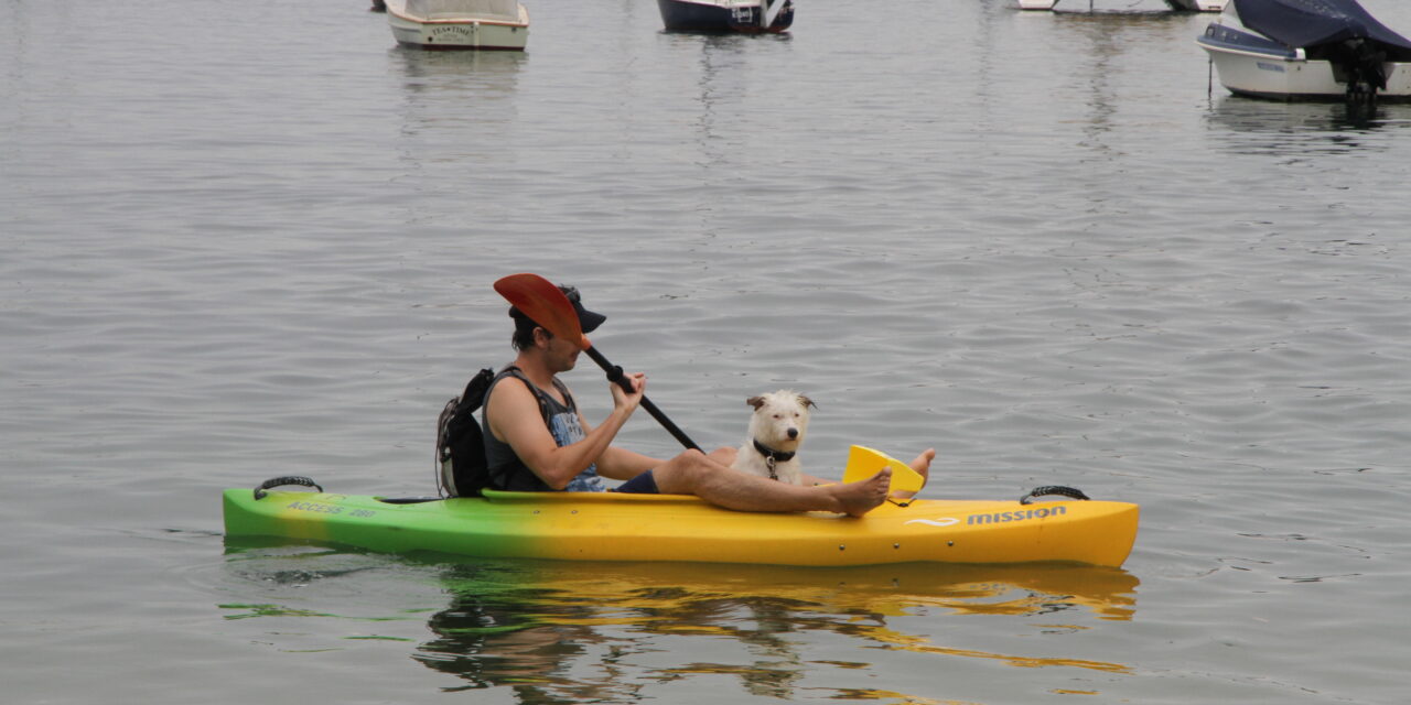 12/01/2011 – 10km Harbour Adventure