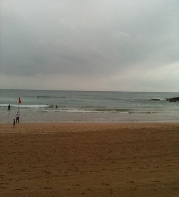 16/01/2011 – Penguin Swim