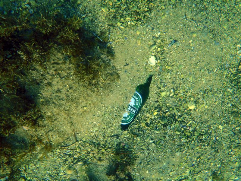 13/01/2012 – Manly Aquarium