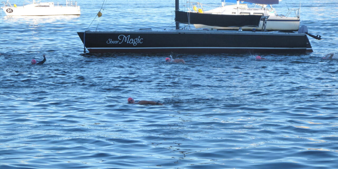 05/02/2012 – Harbour Swim