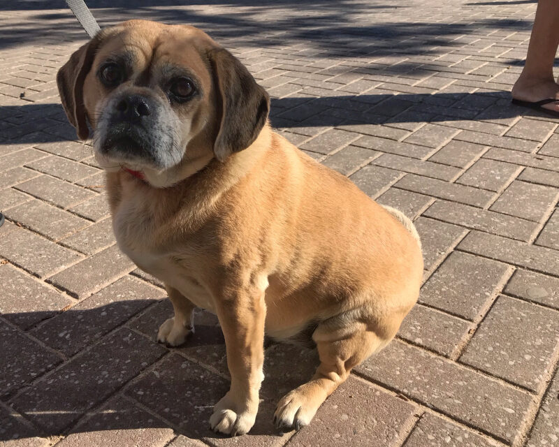 Mermaids! Approach with caution.