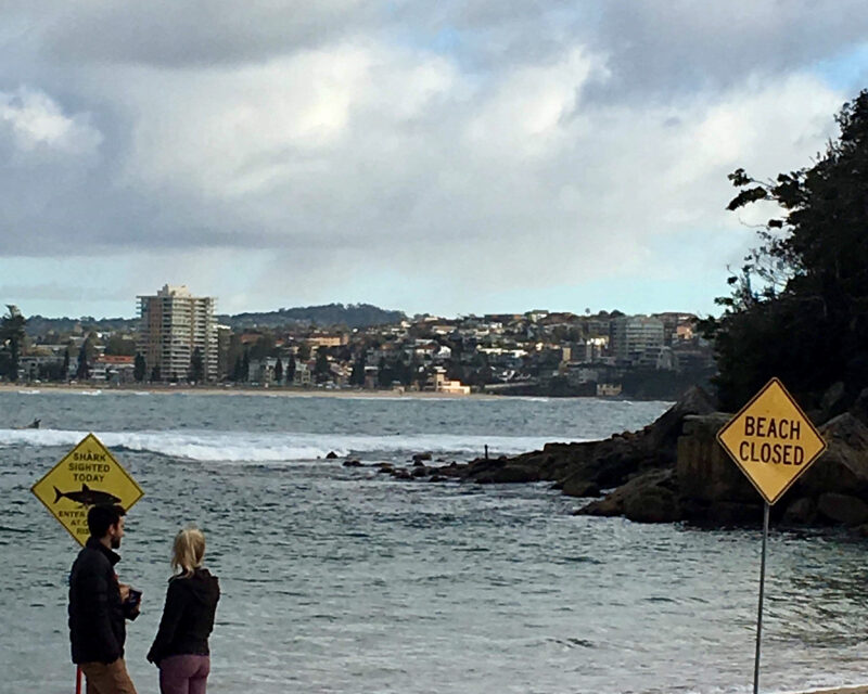 6.07.2019 We swim in the ocean – for good and its challenges