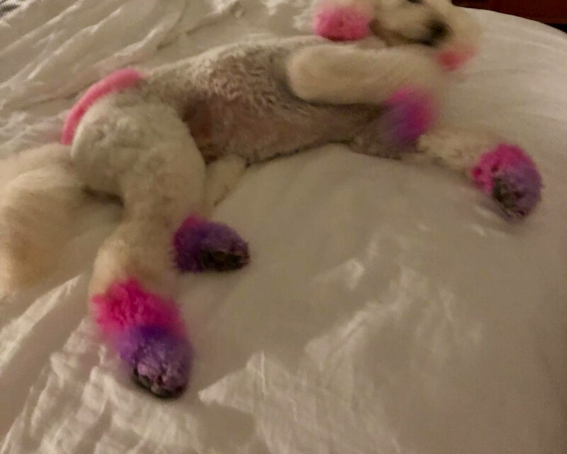 30.11.2019 “It’s a new day, it’s a new dawn…….