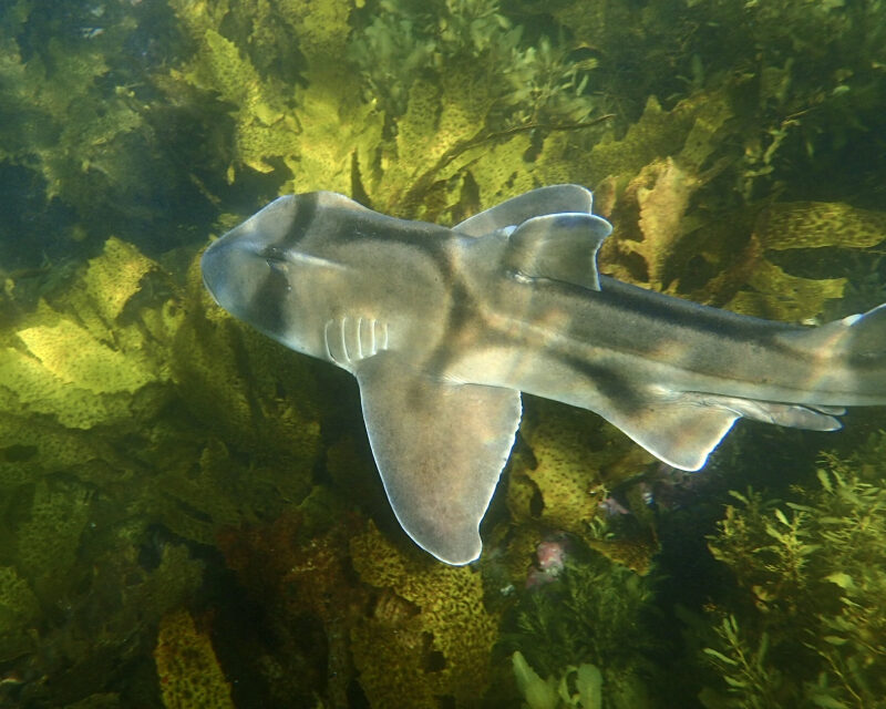 Fun and friendships…