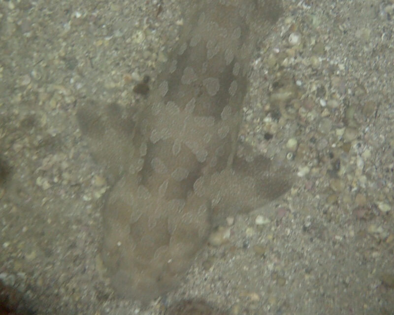 Boxing Day Adventure…