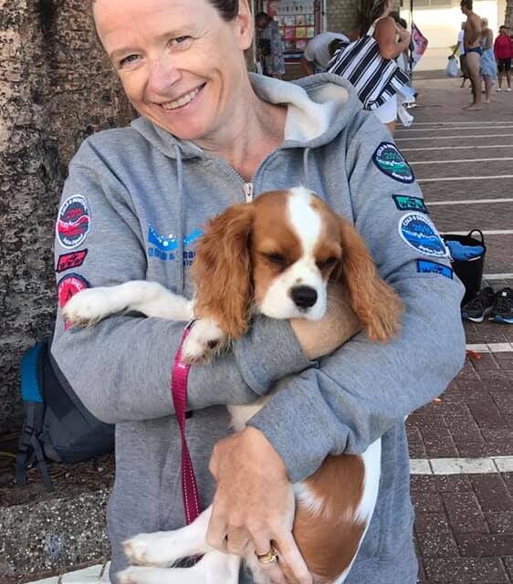 12/01/2012 – A Seal, a Puppy and a Bunch of Happy Swimmers!