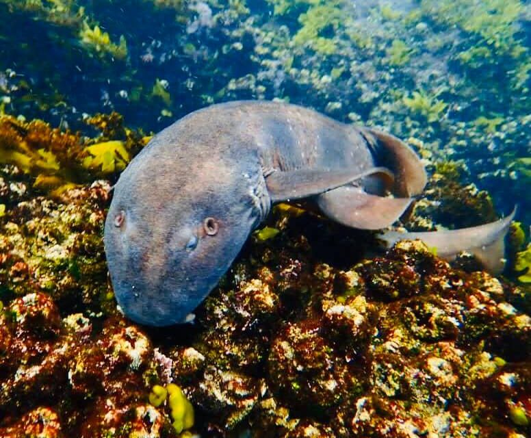 04/01/2021 – Rays below the Water and Rays of Sunshine Above