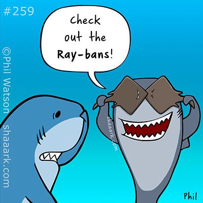 14/02/21 Roses are red, Groupers are blue…