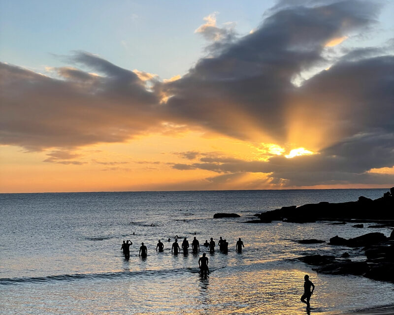 The adventures of Priscilla Queen of Manly