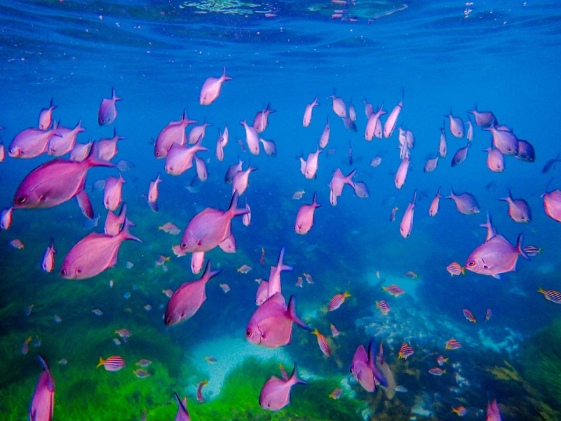 Sunday 6th March:  Standing at the limit of an endless ocean….