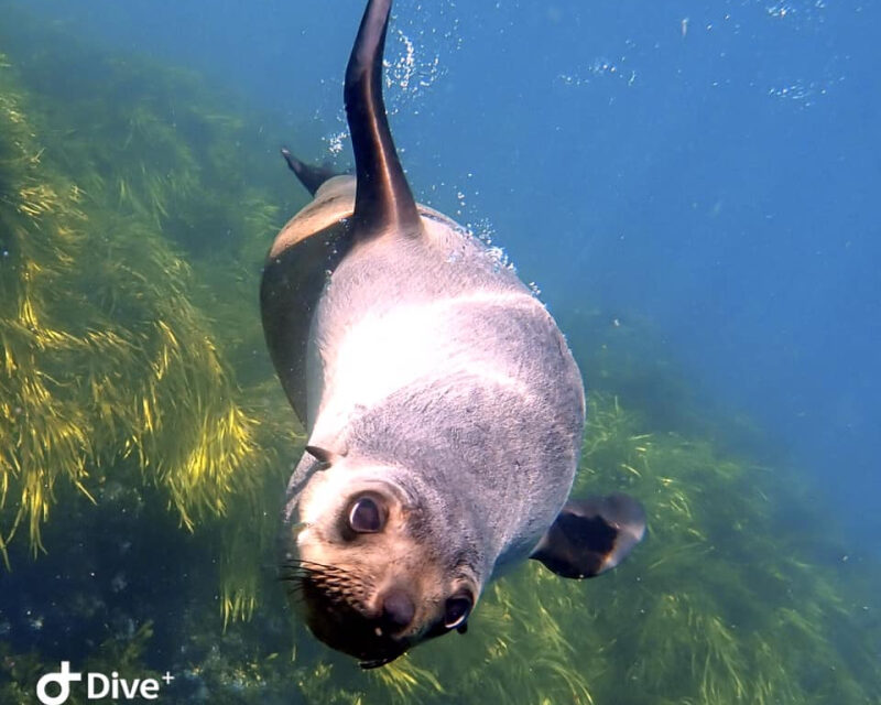 08/03/2022 – You never regret a swim!