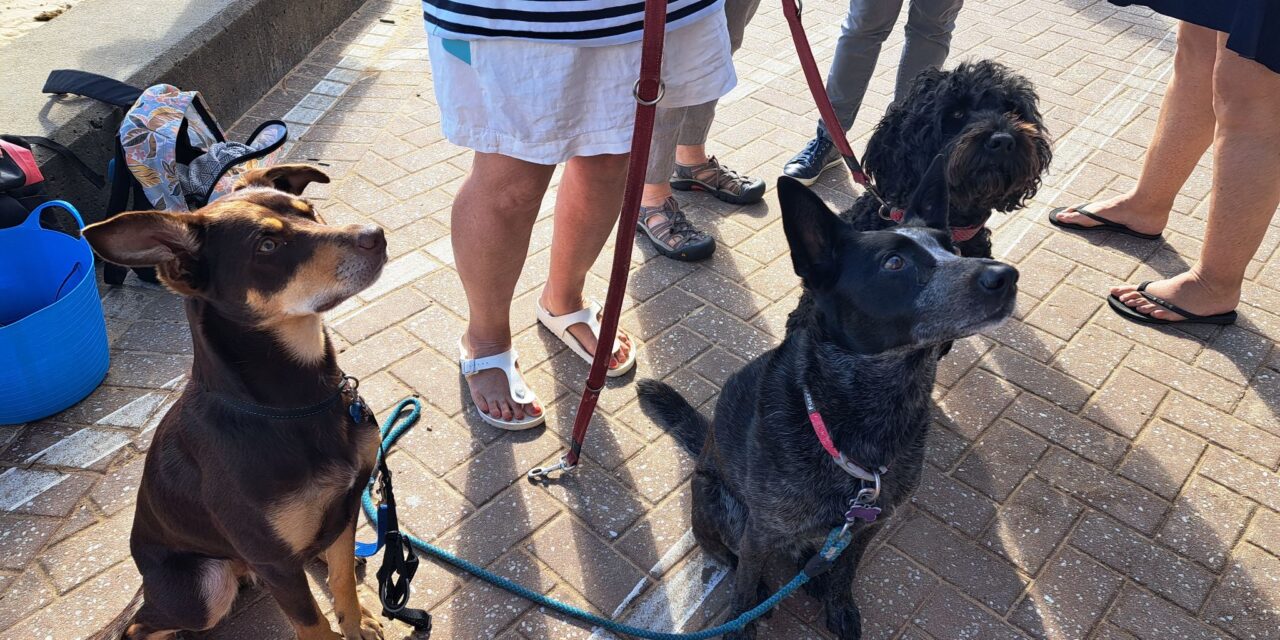 Tuesday 8th November – Swirly Seas