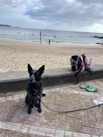 It’s Gonna Be …Sea Sand Salp and Saint Andrew