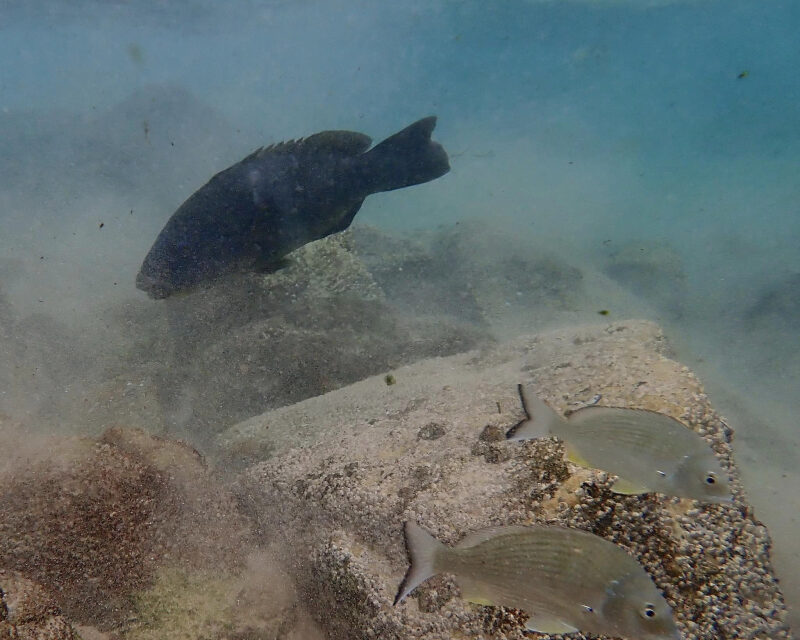 21/03/2023 – Fun Tuesday