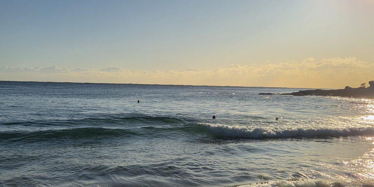 Saltwater Joy: Bobbers, Dunkers, Frolickers, Teabaggers