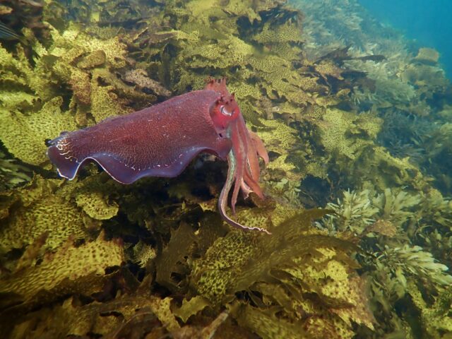 Summer is coming, meanwhile…