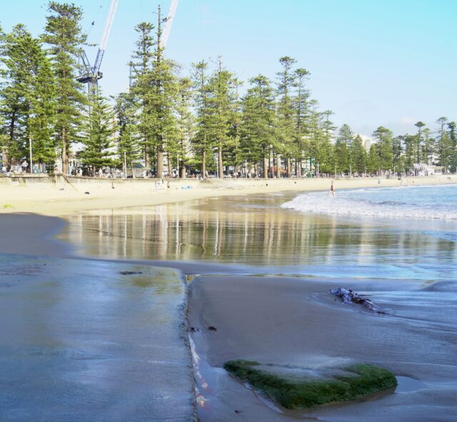 Smile why don’cha!