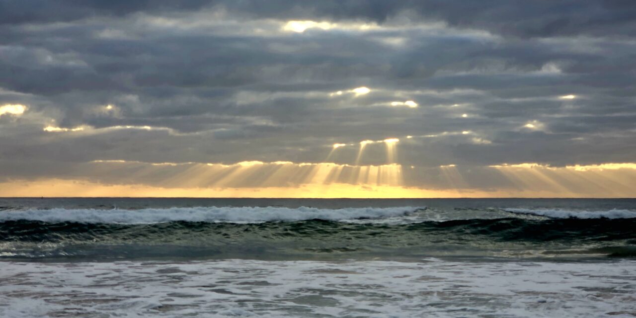 Community & Connection