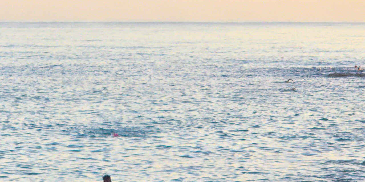 Special Moments of Joy