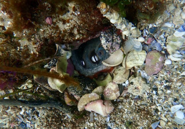 Change is as good as….