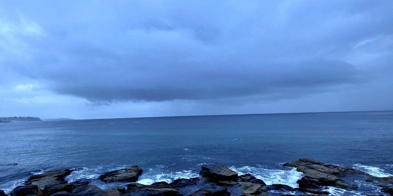 A swim, a wobbegong, a great conversation and a beautiful Morning