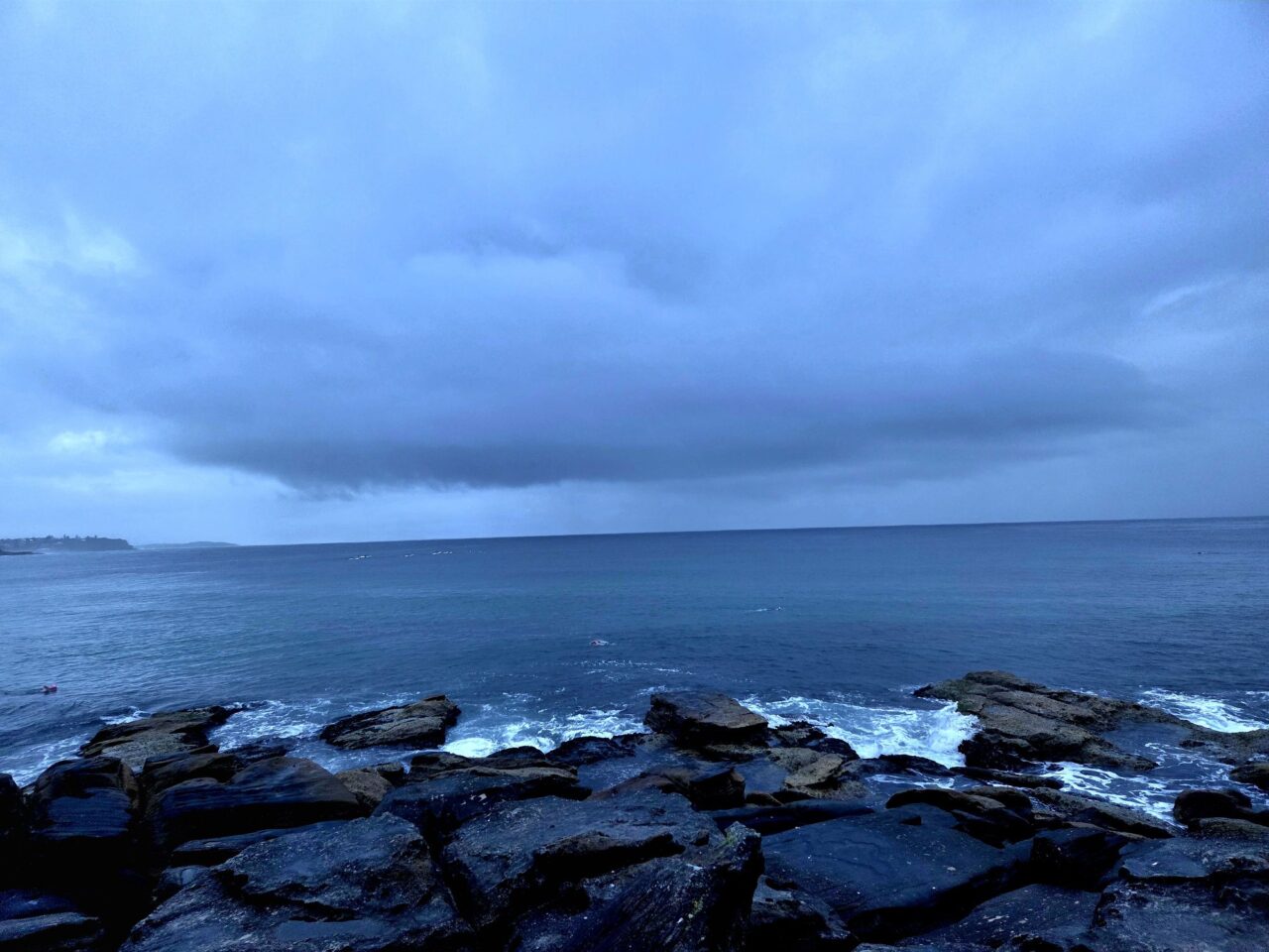 A swim, a wobbegong, a great conversation and a beautiful Morning