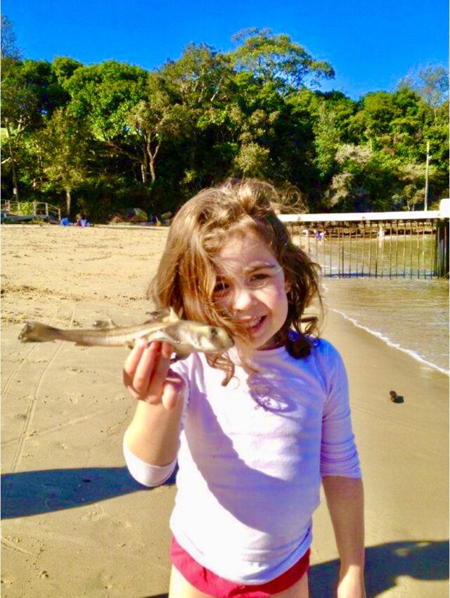 Monday 13th April 2026 – BIG surf, cold morning, sunny day & Baby Shark