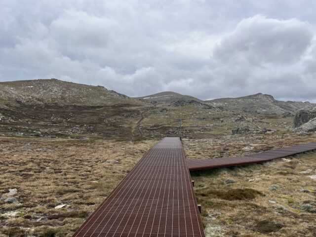 A remote blog from the snowies.