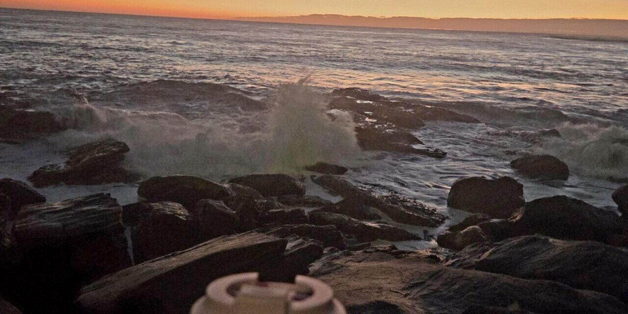 The ocean is alive